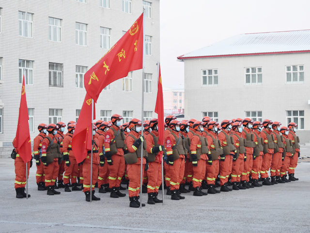 1严密组织.JPG